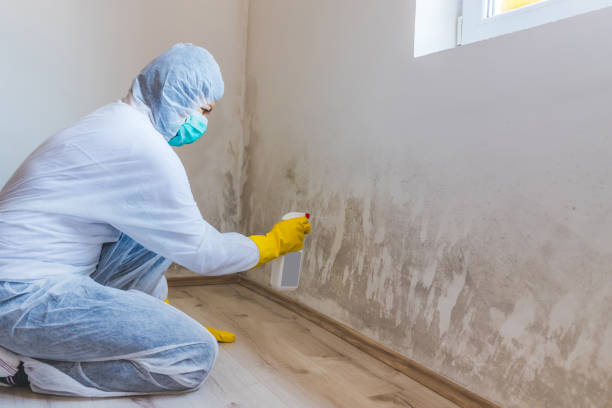 Attic mold on roof deck in Jonestown home