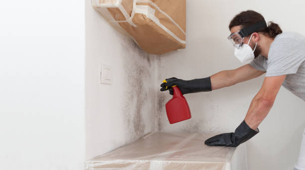 Attic Mold Remediation treatment on roof deck in Jonestown